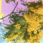 Four Tet - Into The Dust (Still Falling)