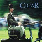 Cigar - Speed Is Relative (Black Vinyl)