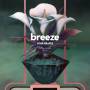 Breeze - Sour Grapes