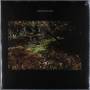 Daniel Norgren - Green Stone