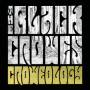 The Black Crowes - Croweology (Acoustic Hits/Re-Recordings)