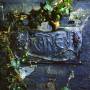 The Damned - The Black Album (2LP Vinyl Version)