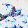 Pass Into Silence - Calm Like A Millpond