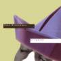 Theo Bleckmann / Ben Monder / Matt Moran / + - Origami