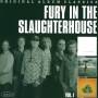 Fury In The Slaughterhouse - Original Album Classics Vol.1