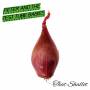 Peter And The Test Tube Babies - That Shallot