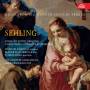 Sehling J. A. - Christmas in Prague Cathedral