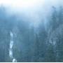 Wolves In The Throne Room - Diadem Of 12 Stars (Remastered)
