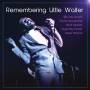 Little Walter - Remembering Little Walter