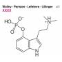 Wollny / Parisien / Lillinger / Lefebvre - XXXX
