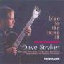 Dave Stryker - Blue To The Bone III
