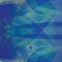 Cyro Baptista - Bluefly