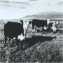 Mark Kozelek - Finally LP