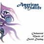 David Dzubay - American Midlife: Dzubay