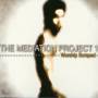 Guillaume Cazenave - Mediation Project One: Worship Scraped