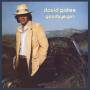 David Gates - Goodbye Girl