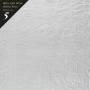 Iron And Wine - Archive Series Vol.5: Tallahassee Recordings
