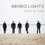 Abisko Lights - Point Of View