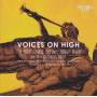 Hannaford Street Silver Band - Voices On High