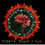 Schluff Jull - Circlin Round A Sun