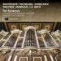 Ton Koopman - At the Zacharias Hildebrandt Organ (1726)