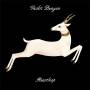 vashti Bunyan - Heartleap