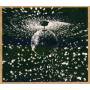 neil Young - Mirror Ball
