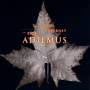 Adiemus - A Journey-The Best Of Adiemus