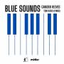 Tom Hicks - Blue Sounds