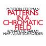 Rohan De Saram / Marianne Schrder - Patterns in a Chromatic Field