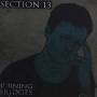 Section 13 - Burning Bridges