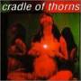 Cradle Of Thorns - Feed Us