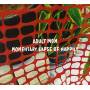 Adult Mom - Momentary Lapse Of Happily