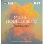 Michel Houellebecq - Vernichten