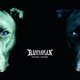 Rantanplan - Stay Rudel - Stay Rebel (lim. Fanbox)