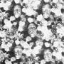 The Legendary Pink Dots - Lovers