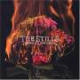 Stills - Without Feathers