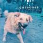 Guasones - Como Animales