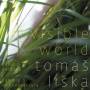 Toms Liska / Doruzka / Di Bonaventura / To - Invisible World