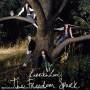 Larrikin Love - The Fredom Spark