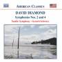 Gerard Schwarz / Seattle SO - Sinfonie 2+4