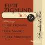 Eliot Zigmund / Trio EZ - Standard Fare