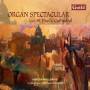 V / A - Organ Spectacular/St.Pauls