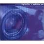 Ascape - Big Brother Is Watching You