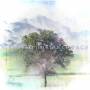 Sleep City - Distance and Age