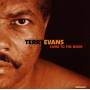 Terry Evans - Come To The River