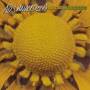 Ad Vanderveen - Late Bloomer