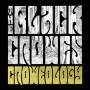The Black Crowes - Croweology
