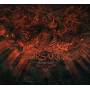 Forsaken - Pentateuch