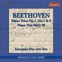 European Fine Arts Trio - Klaviertrios